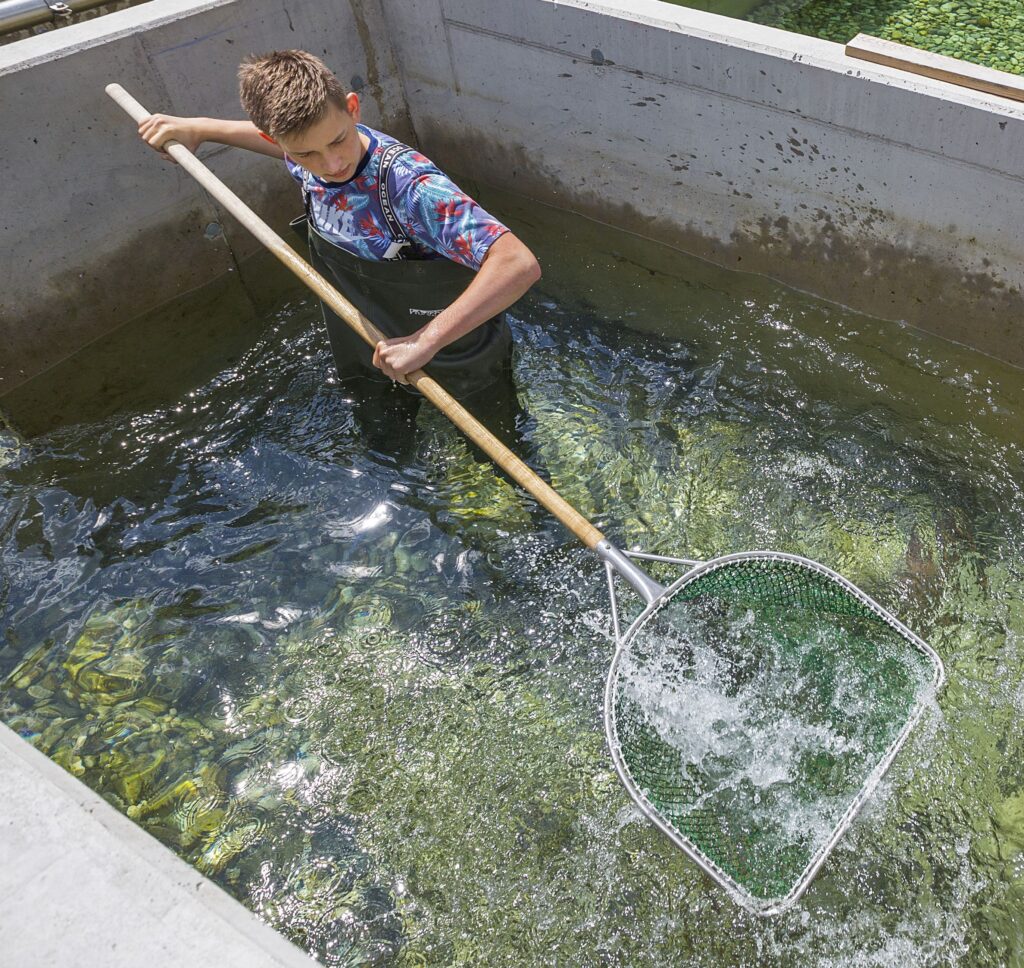 Infoabend BBS Aquakultur: Mittwoch 12. Juni um 18:00 Uhr in der Biofischzucht Hohenlehen