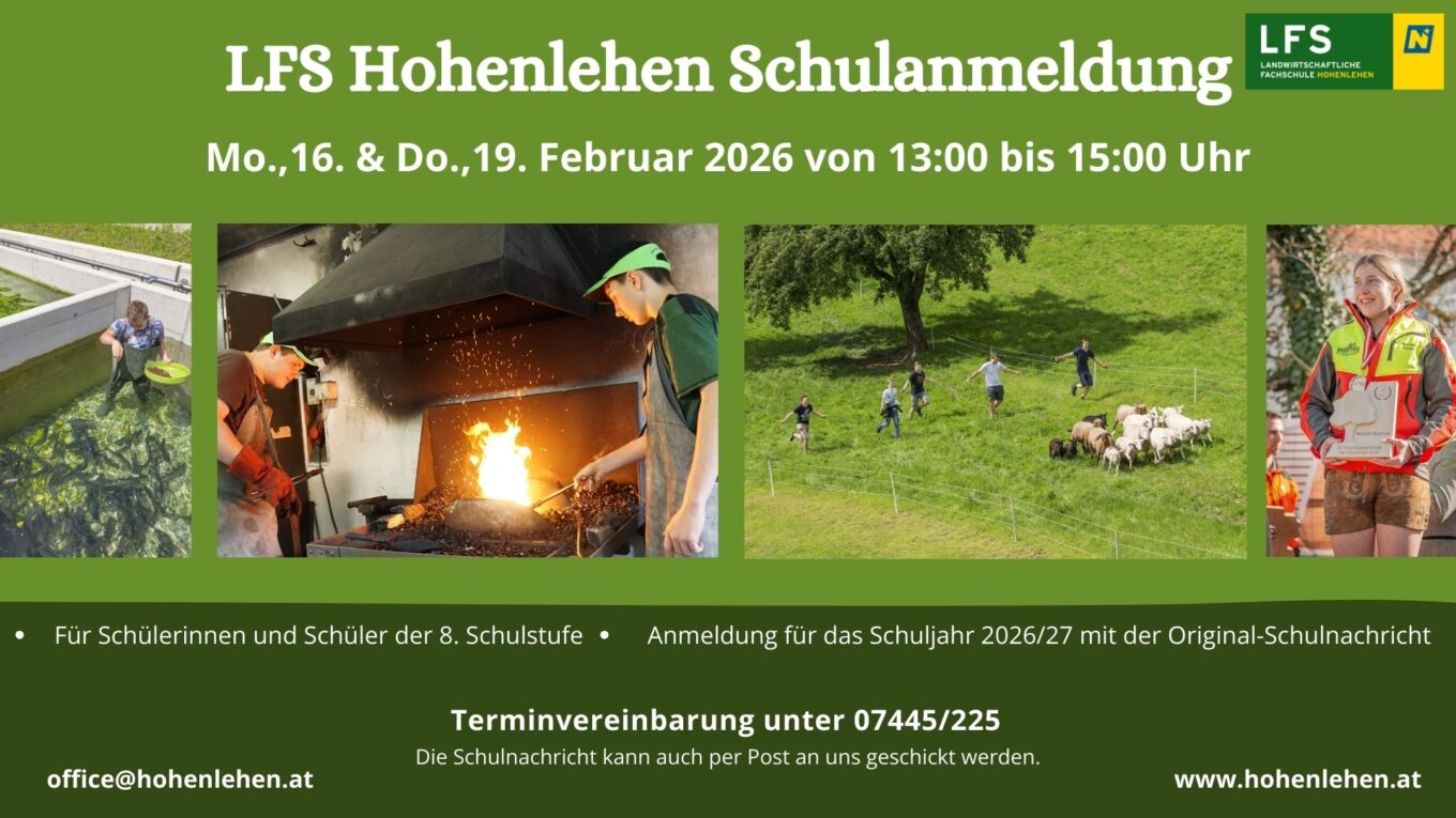 Schulanmeldung Mo.,16. & Do.,19. Februar 2026